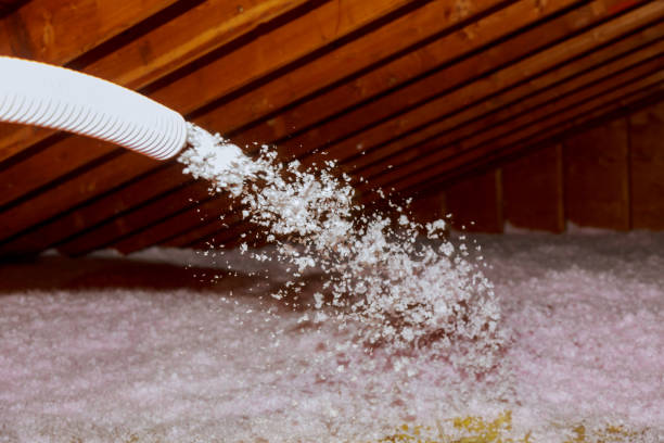 Best Spray Foam Insulation in Piney, AR