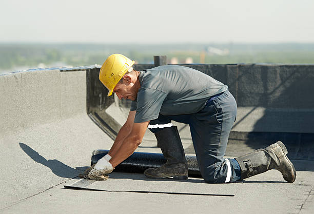 Best Residential Insulation in Piney, AR