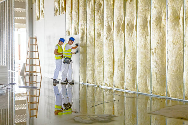 Best Cellulose Insulation in Piney, AR